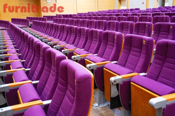 Зрительный зал с креслами для аудиторий FTD269